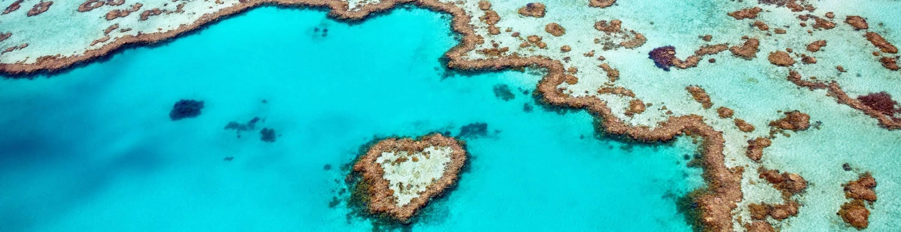 Whitsunday saared – loodusime Suure Vallrahu südames - ReisiGuru.ee