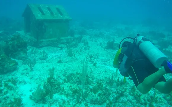 Cancúni veealune muuseum - ReisiGuru.ee